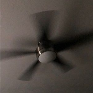 Meet your Posher, Steve